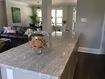 Picture of Kitchen