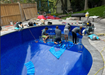Picture of Pool - Steel Steps